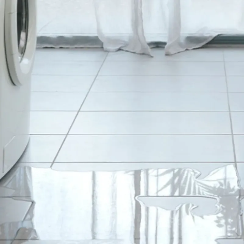 Appliance Leak Cleanup in Door County, WI