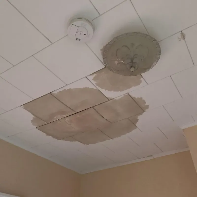 Ceiling Water Damage Repair in Door County, WI