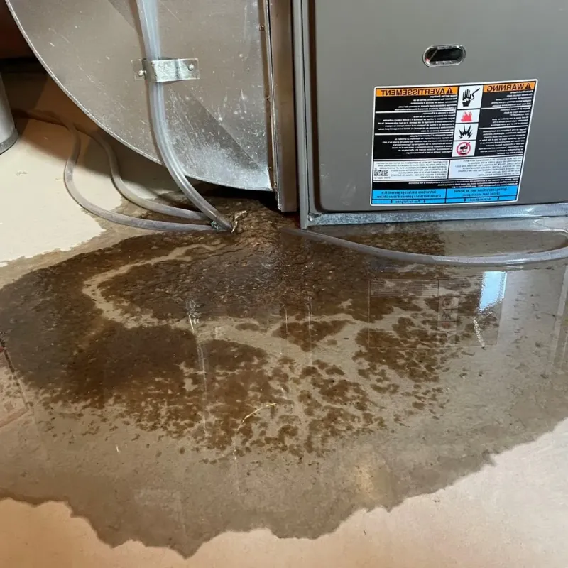 Pipe Burst and Leak Restoration in Door County, WI